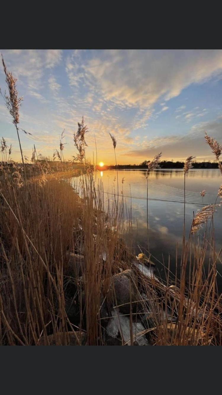 Charmerende Byhus I Praesto Centrum Bagian luar foto